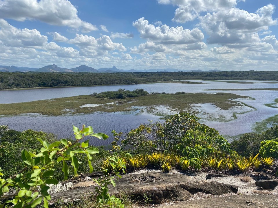 Vista do alagado e da vegetação de restinga no Parque Estadual Paulo César Vinha, com montanhas ao fundo