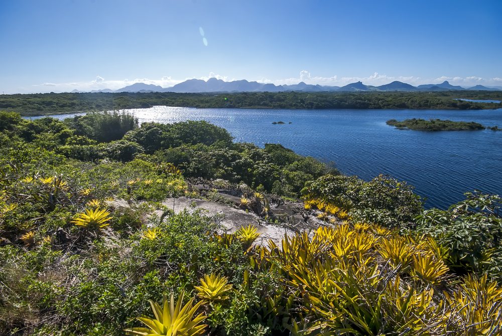Lagoa de Caraís vista de um mirante, com a vegetação ao redor